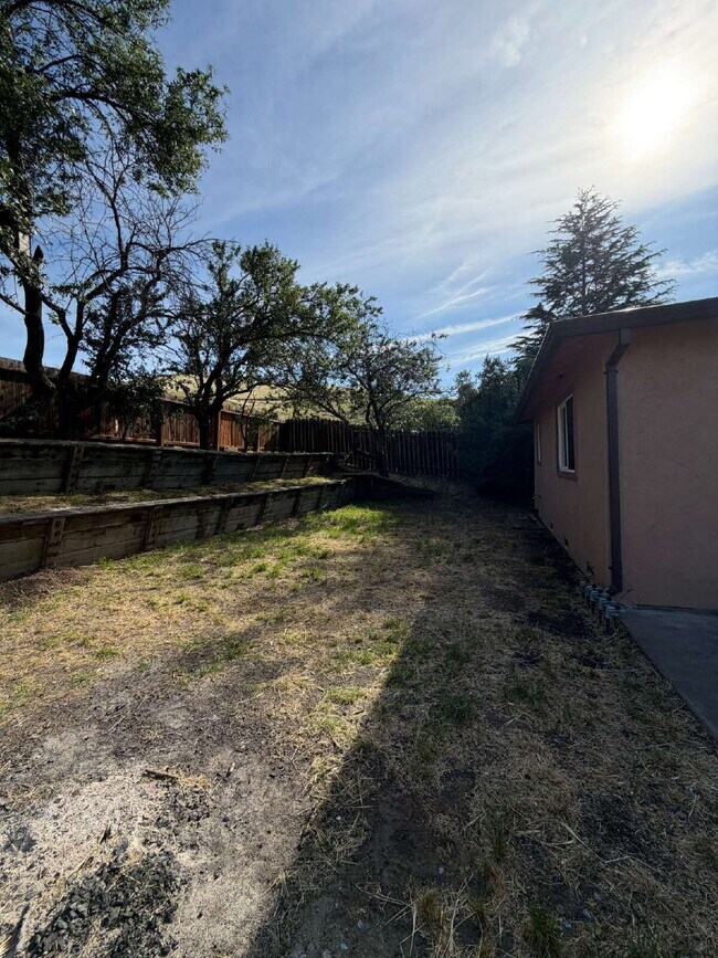 Building Photo - 1089 Honey Ct