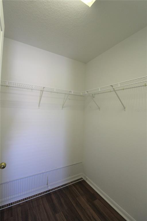 Building Photo - 14912 Skip Jack Loop