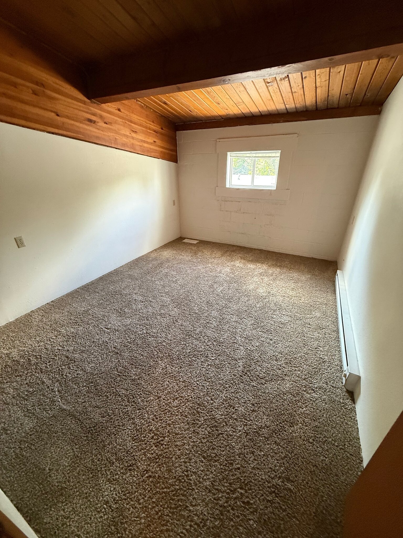 Building Photo - 224 Halsey St