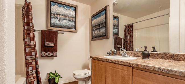 Bathroom - Matthew Henson Apartments