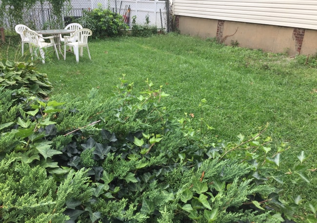 Building Photo - 59 Carlton Ave