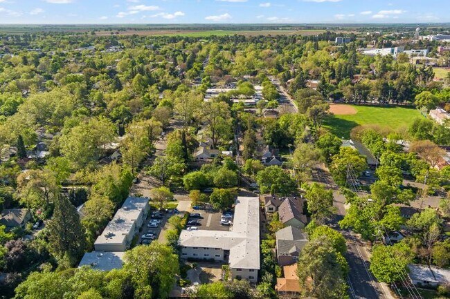 Building Photo - 311 7th St