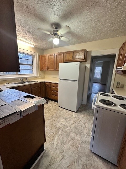 Building Photo - 5690 Wilderness Rd