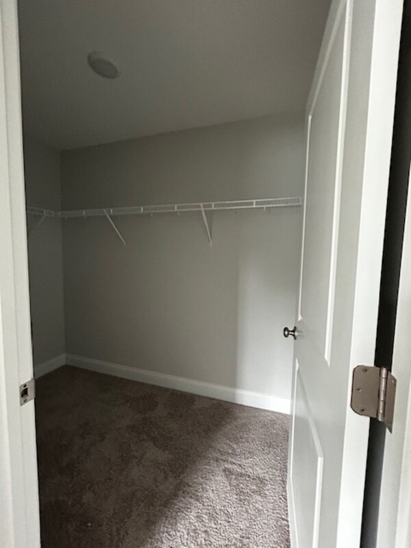 Building Photo - 21 Spg Pne Ct