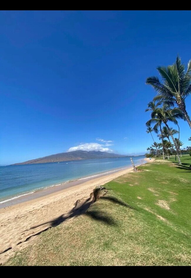 Building Photo - 2 bedroom 1.5 bathroom Ohana, across the street from the beach and park!