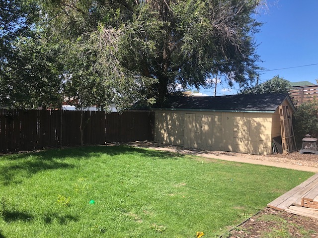 Backyard - 213 Perry St
