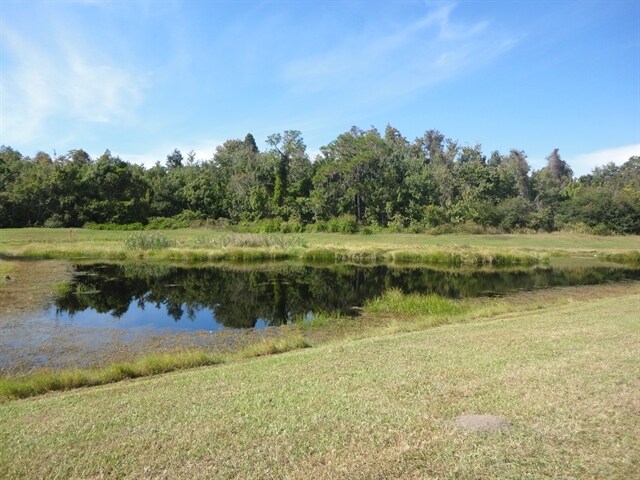 Building Photo - 13137 Carrollwood Creek Dr