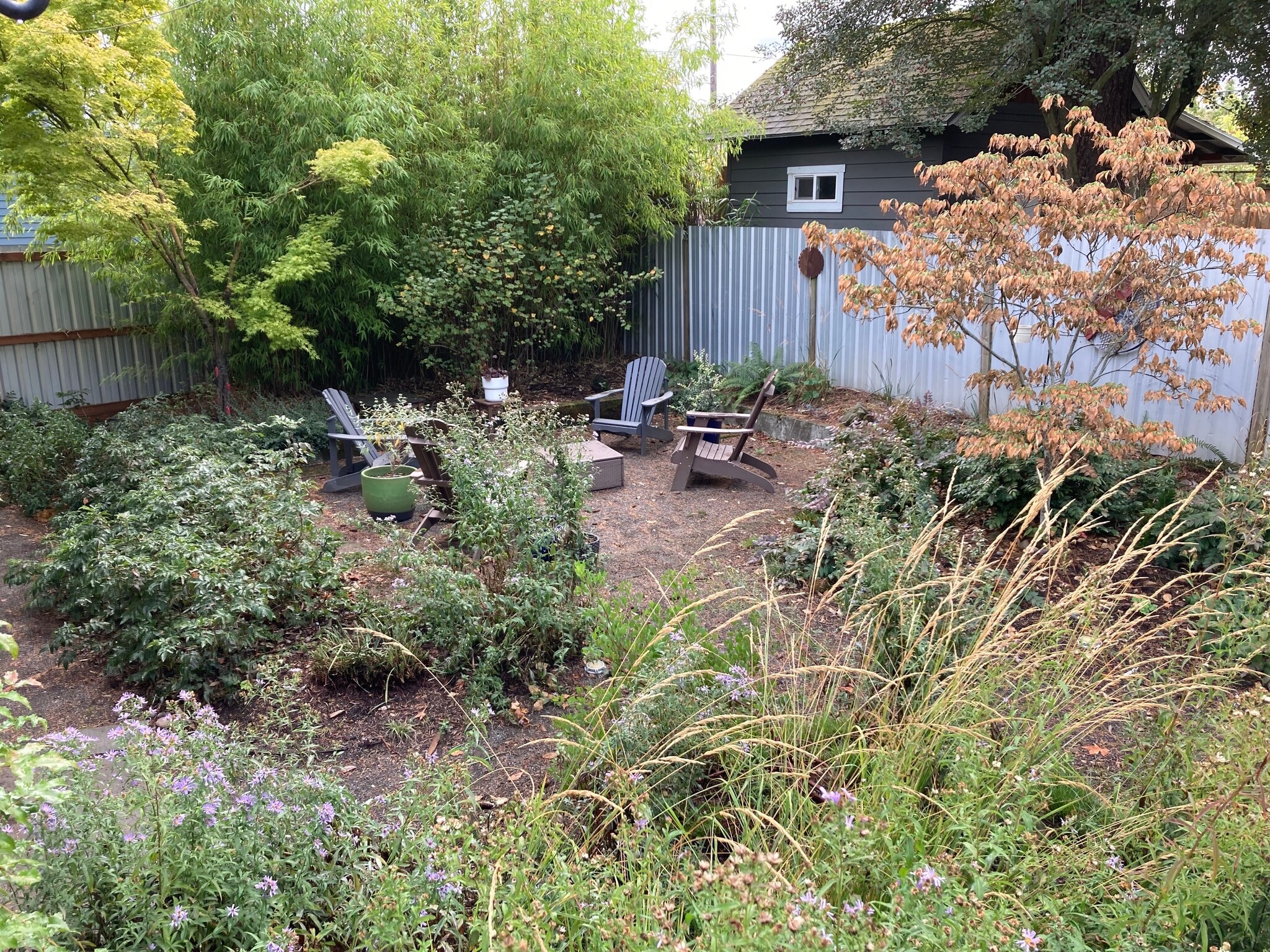 Shared backyard - 5516 NE 32nd Pl
