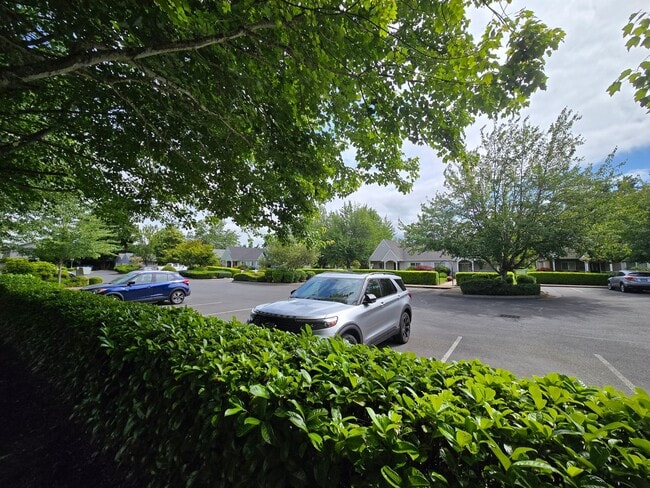 Building Photo - Spacious Condo off Coburg