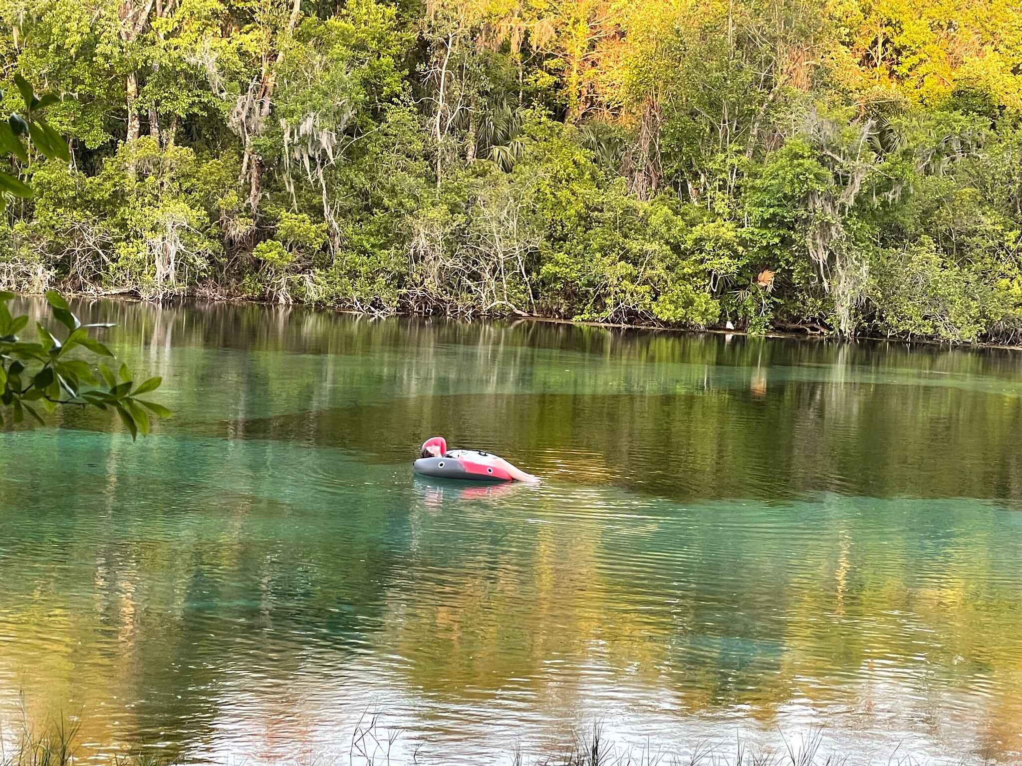 Rainbow River - 19615 SW 93rd Lane