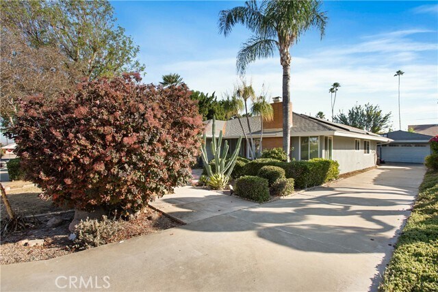Building Photo - 1185 La Subida Ct
