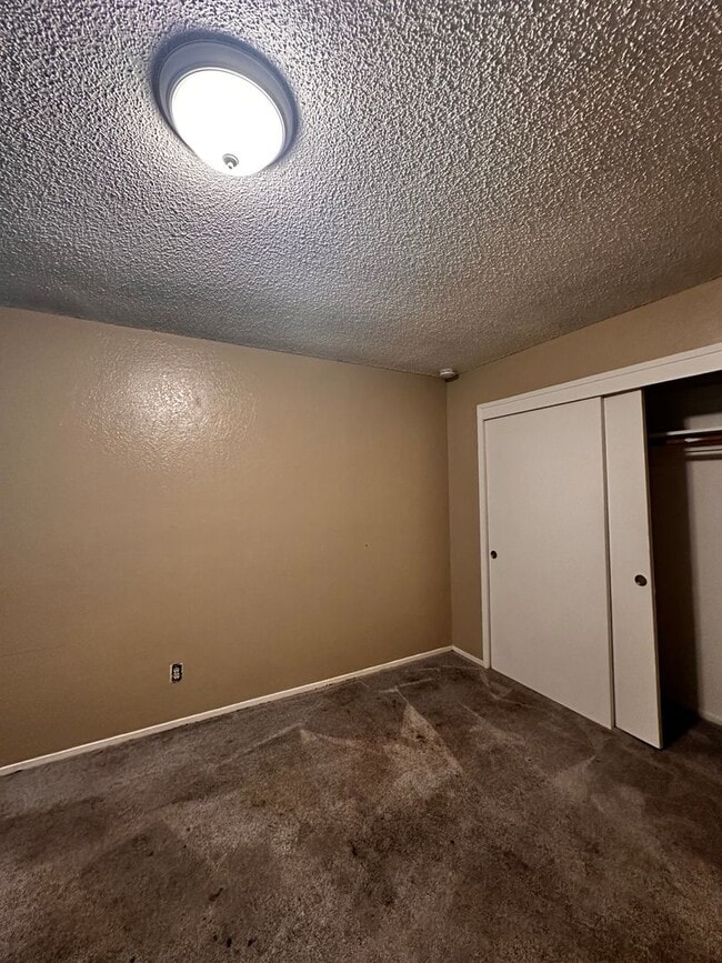 Building Photo - 909 Pacheco Rd