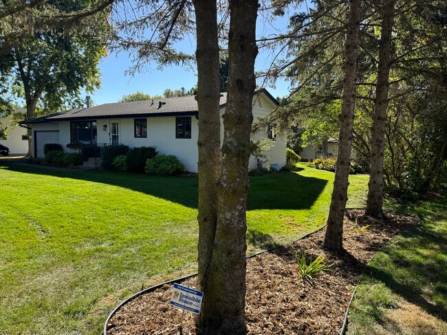 Property View - 108 Bluwood Ave