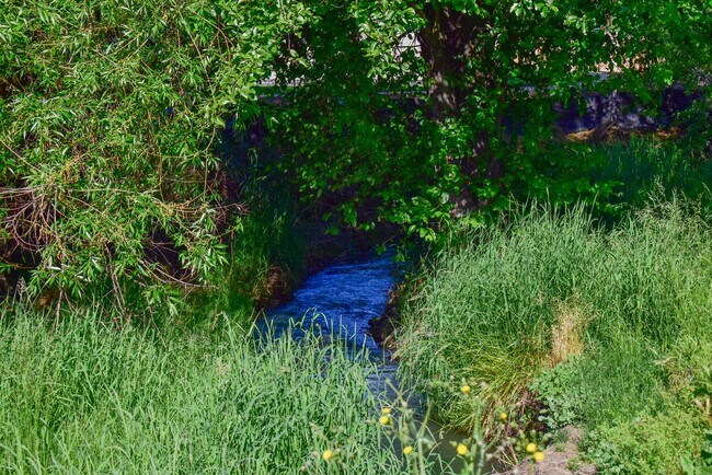 Building Photo - 1995 Sky Park Dr