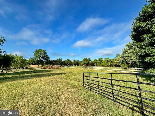 Building Photo - 8530 Wedding Dr
