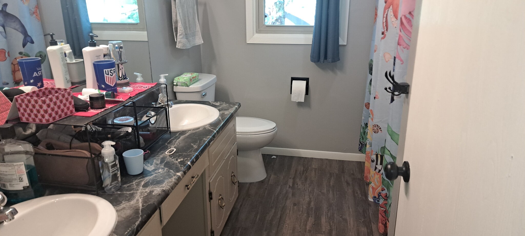 1st floor bath - 2611 Clive St