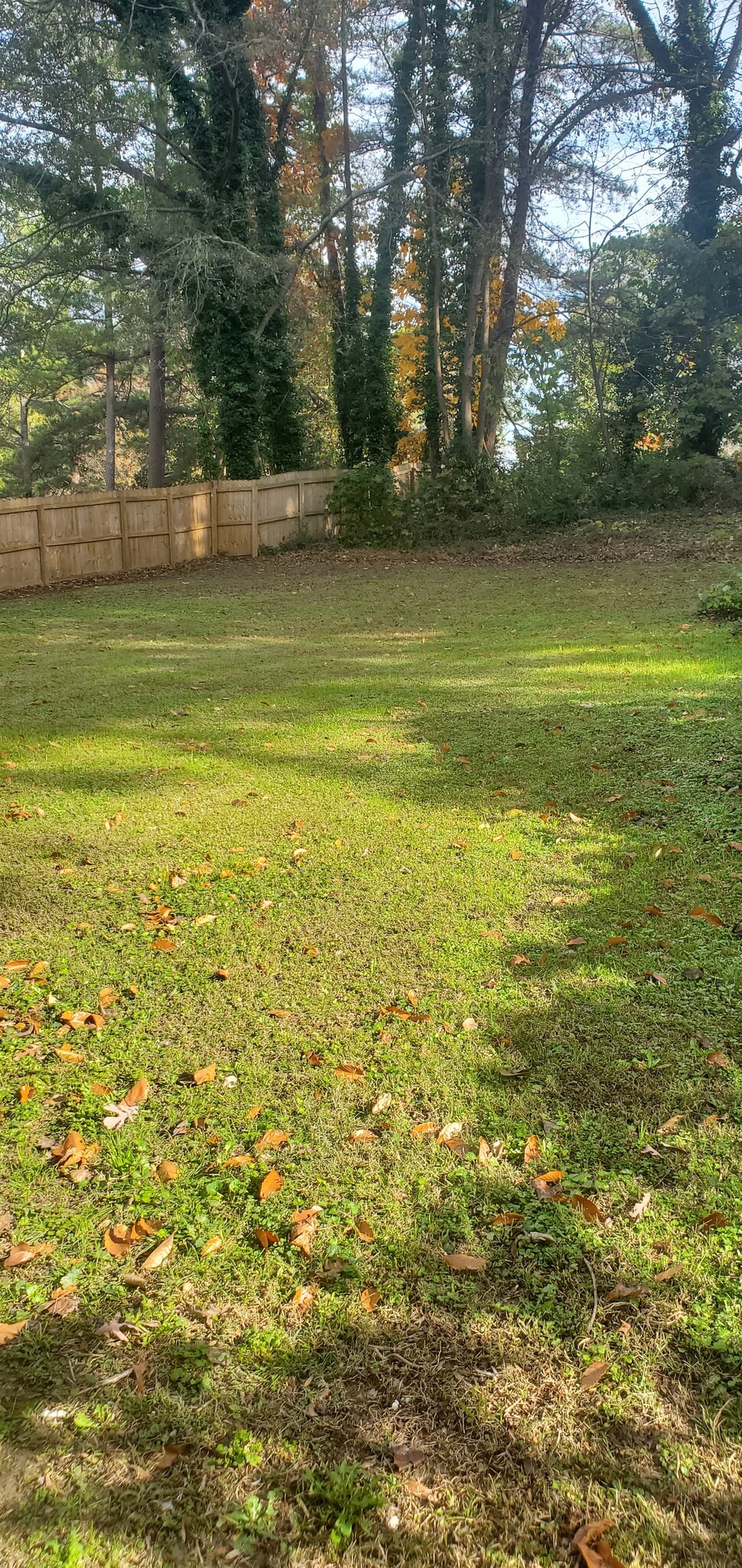 Building Photo - 3072 Lone Oak Ave SW