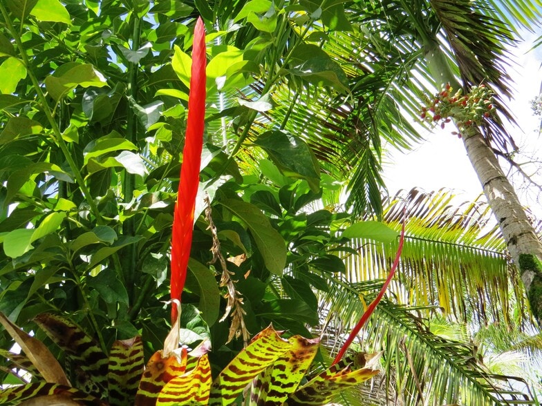 Building Photo - 15-1414 24th Ave