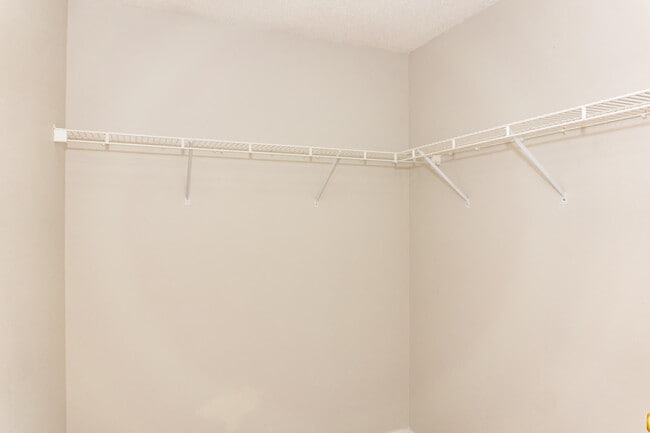 Building Photo - 2831 Atoka Trail