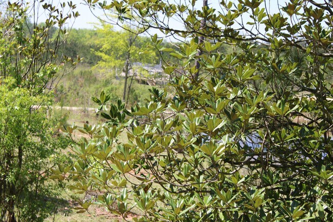 Building Photo - 818 W Grantville Rd