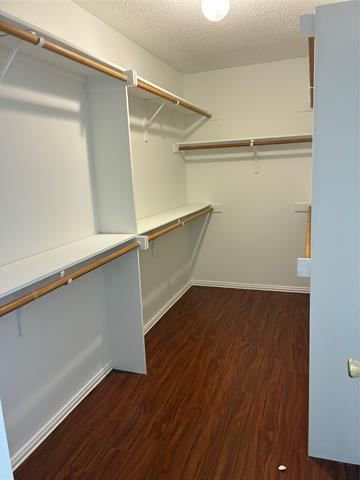 Building Photo - 105 Cottonwood Ln