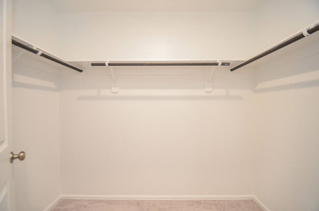 Building Photo - 4126 Brazos Brk Trl