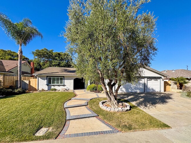 Primary Photo - Stunning 4B/2BA House in San Marcos!