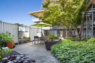 Community Courtyard - 601 Jackson Apartments