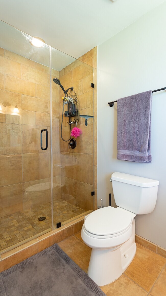 Master Bath - 2040 W Cambridge Ave