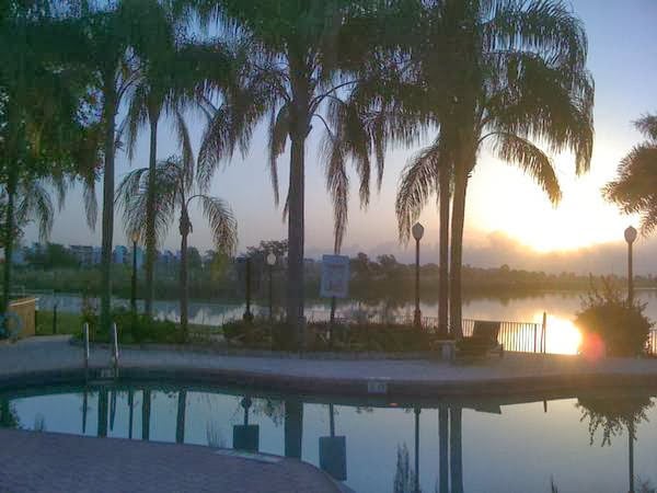 Building Photo - 2851 N Oakland Forest Dr