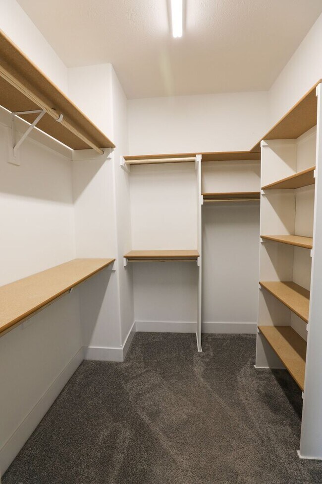 Building Photo - Beautiful Rental Home