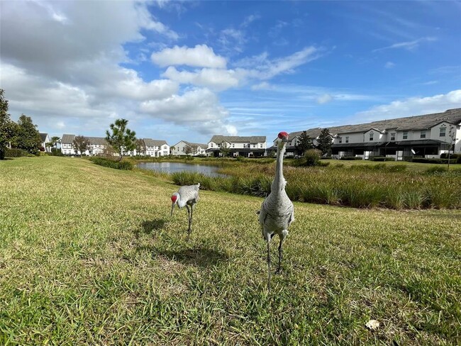 Building Photo - 163 Captiva Dr