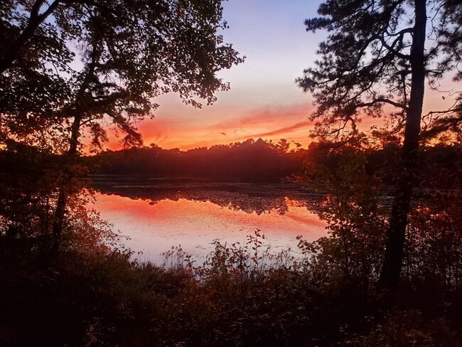 Building Photo - 18 Weaver St