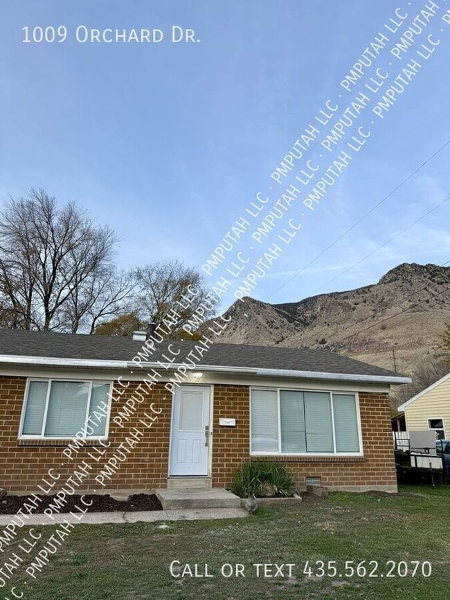 Building Photo - 1009 Orchard Dr