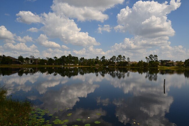 Building Photo - 4 BR Lakefront & Pool Home