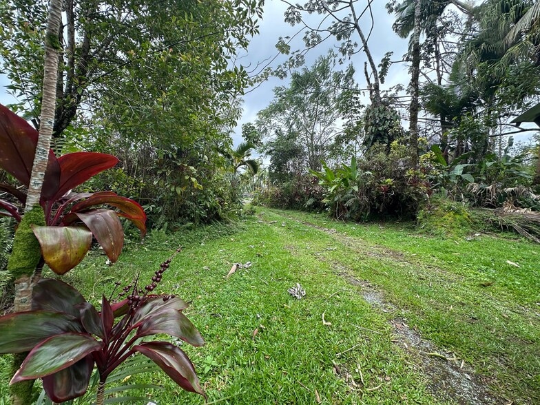 Building Photo - 16-2110-2110 Hibiscus Dr