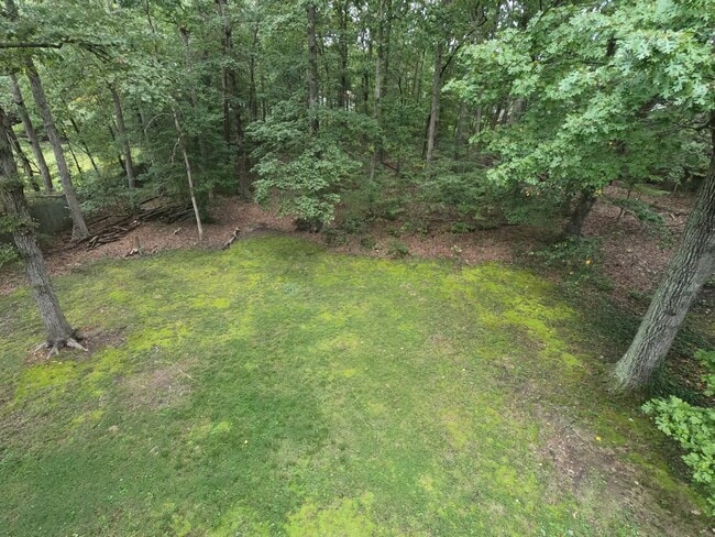 Building Photo - Great Split Foyer In Fredericksburg!