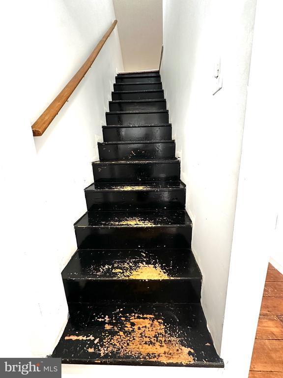 Building Photo - 223 Walnut St