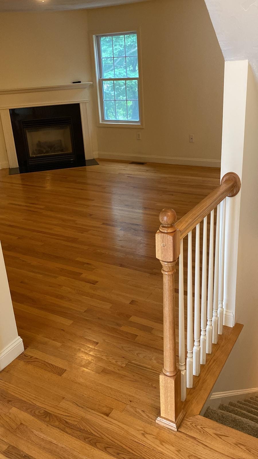 Living Room - 67 Princeton St