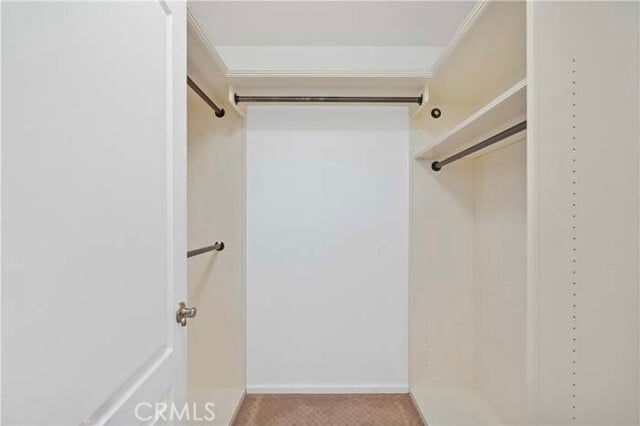 Building Photo - 5194 Legacy Ct