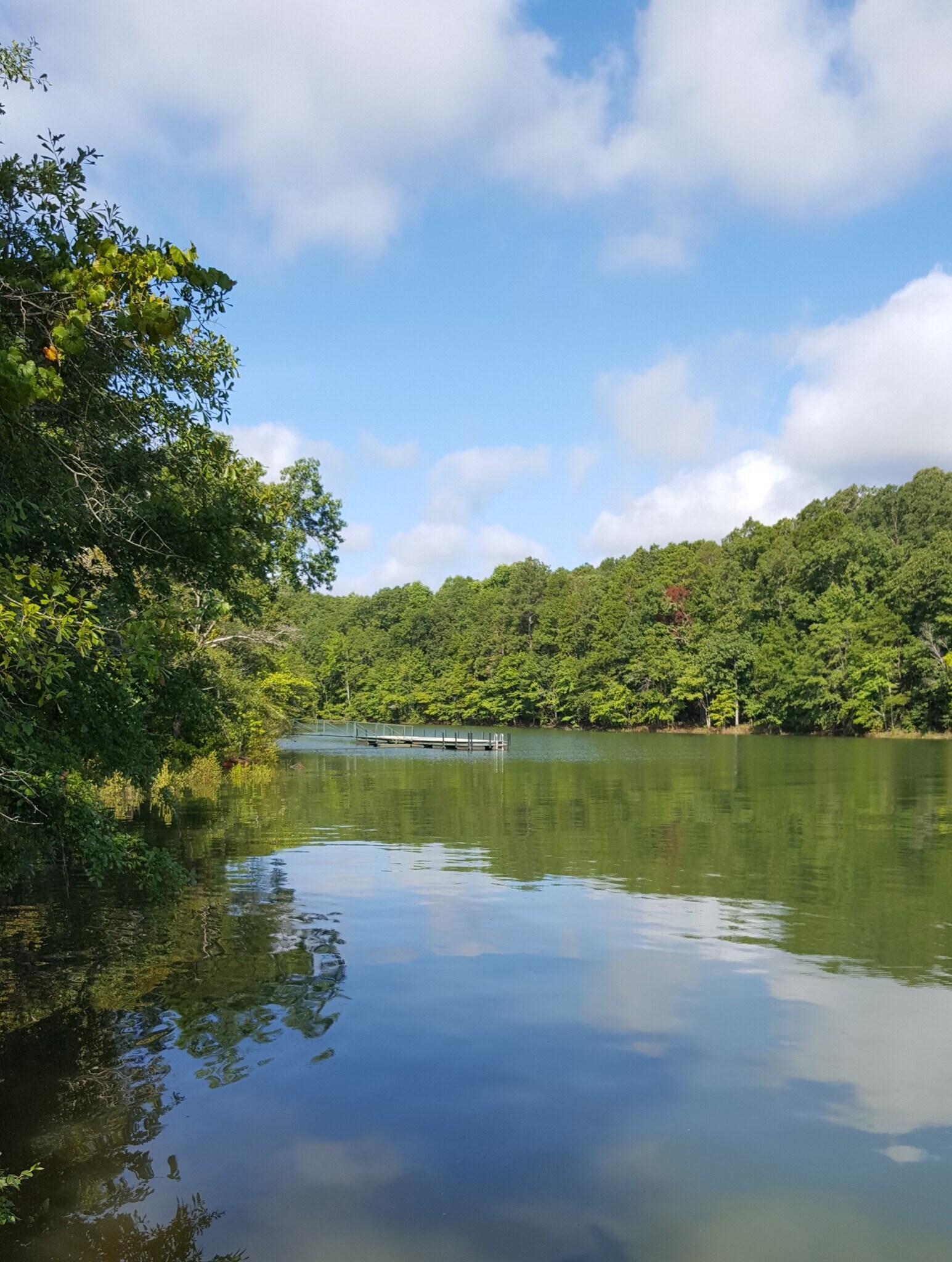 Building Photo - 1011 Harts Cove Way