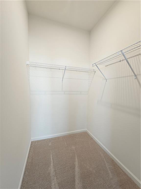 Building Photo - 3250 Willow Glade Trl