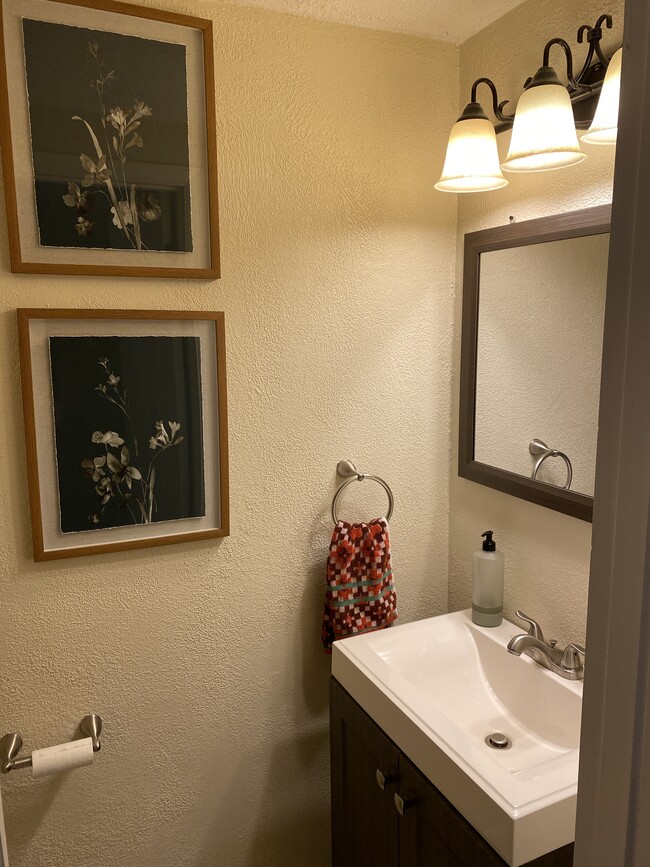 1st floor powder room - 246 E Commons Dr