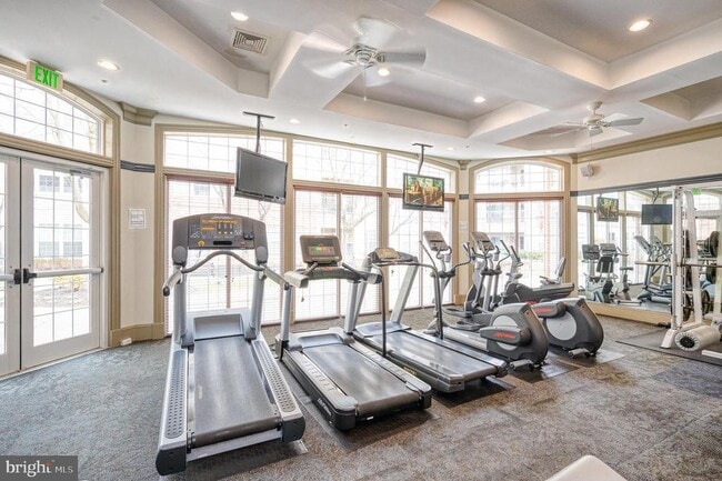 Building Photo - 537 Ensemble Ct