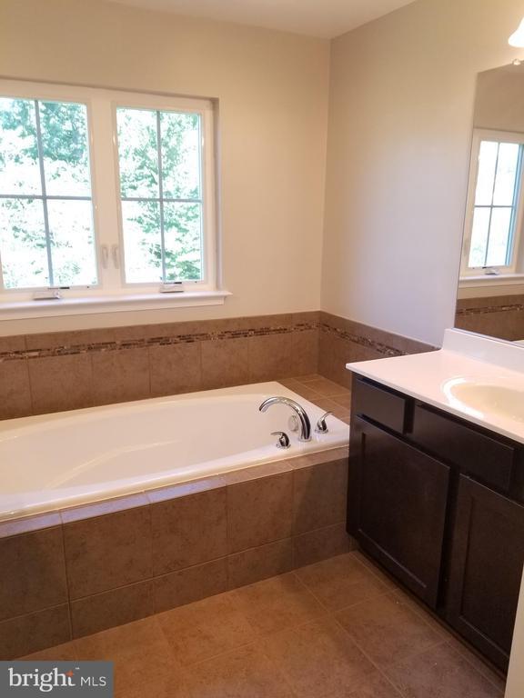 Building Photo - 41 Rapidan Dr