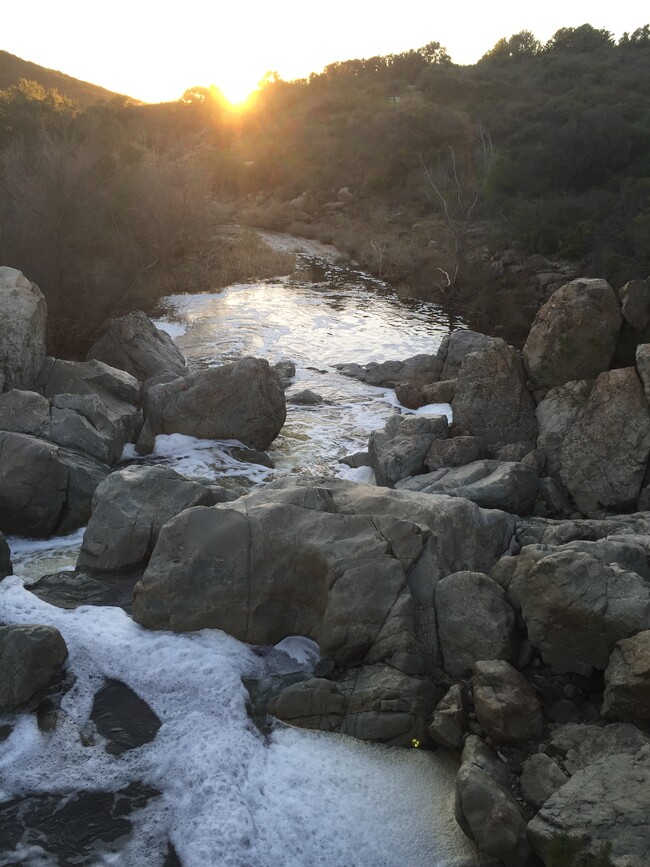 This is your back yard canyon - 11482 Hadar Dr