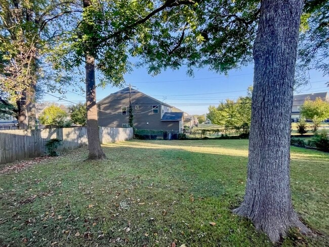 Backyard - 2338 Morton St