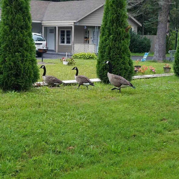 Building Photo - 29 Chester Rd