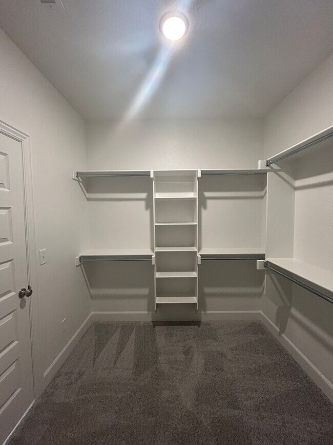 Building Photo - Beautiful Modern Home in Pea Ridge!