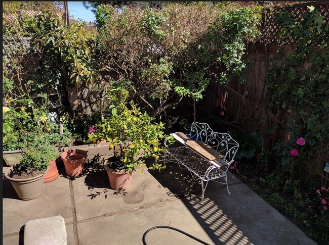 Building Photo - Large, Beautiful Home near Dolores Park!